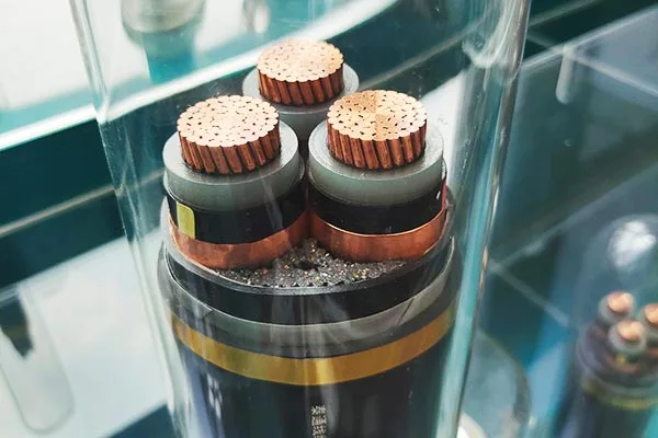 ব্যাপক সেবা সমর্থন